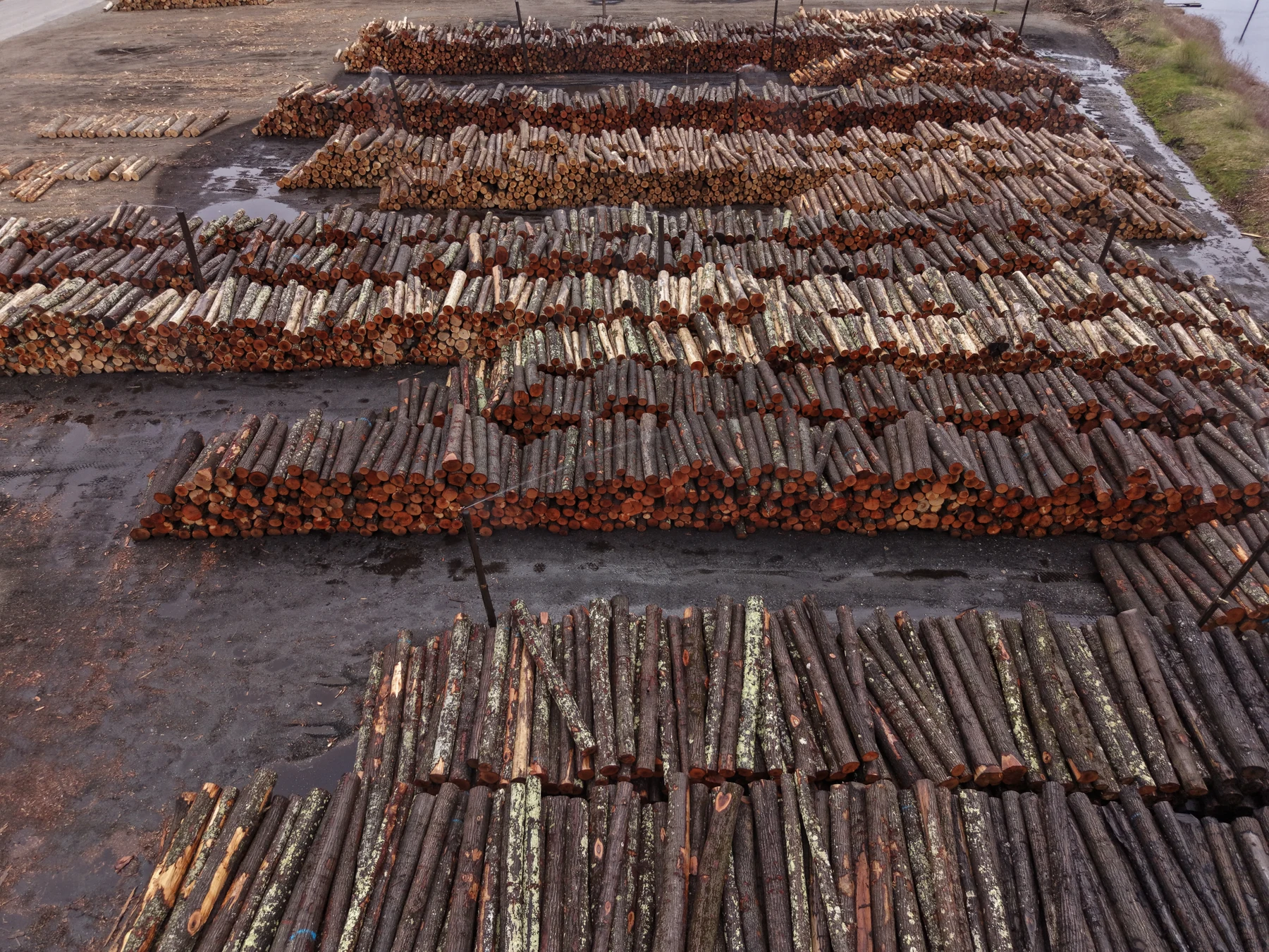 Aerial view of rows of stacked logs in a log yard